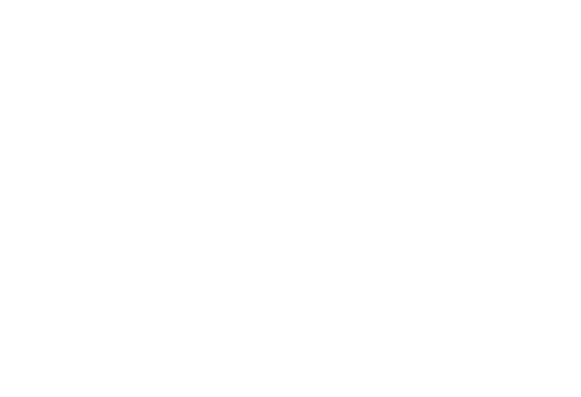 Festival des Lanternes : Le bal des dragons